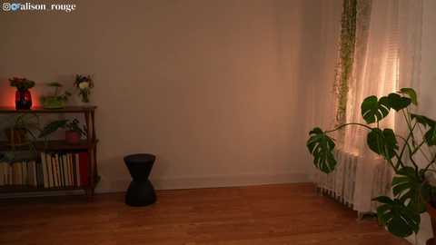 Media: alisonrouge Chaturbate 2023-11-25 02:29:00