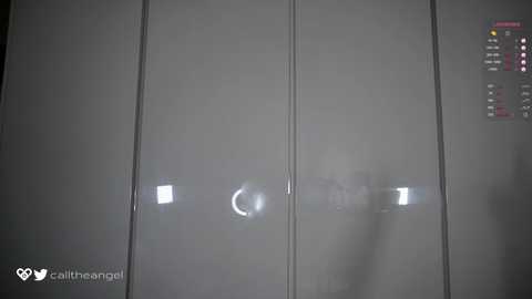 Media: beatrix_rich Chaturbate 2023-11-25 23:08:00