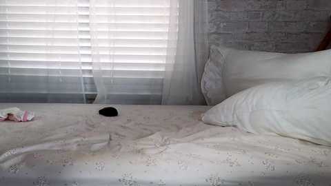 Media: littlegreekflower Chaturbate 2023-11-25 17:42:00