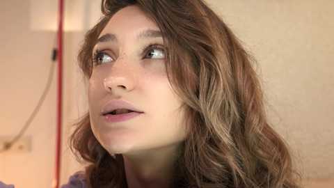 Media: mia_elfie Chaturbate 2023-11-25 06:37:00