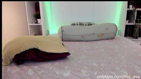 Media: mis_eva Chaturbate 2023-11-25 19:20:00