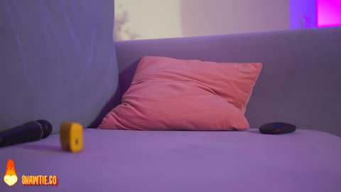 Media: _taylor_swift Chaturbate 2023-11-26 08:47:00