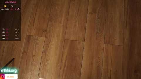 Media: angels_kiss Chaturbate 2023-11-26 20:52:00
