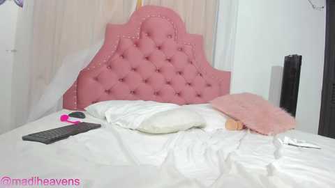 steila_rochefort @ chaturbate on 20231126