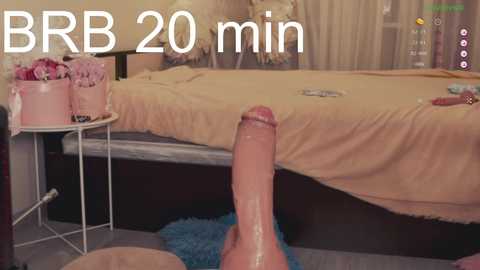 chery_lady22 @ chaturbate on 20231129