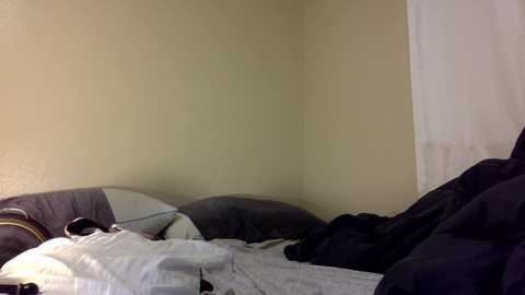 elleperkins @ chaturbate on 20231129