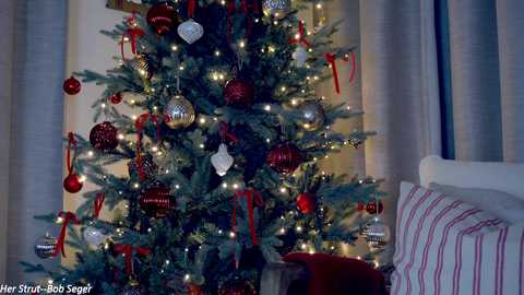 Media: x_lily_x Chaturbate 2023-11-29 00:24:00