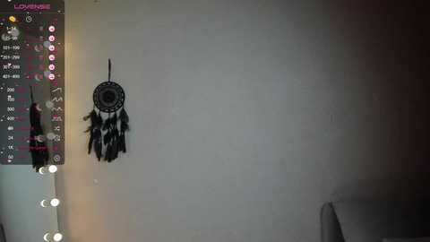 Media: euphoria_life Chaturbate 2023-12-01 00:54:00