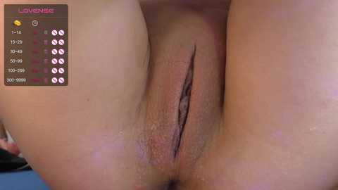 Media: queenelia Chaturbate 2023-12-01 06:04:00