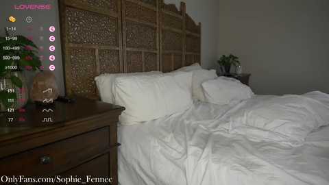 Media: sophie_fennec Chaturbate 2023-12-01 18:24:00