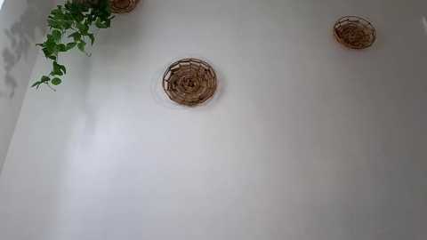 Media: littlegreekflower Chaturbate 2023-12-02 17:01:00
