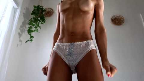 Media: littlegreekflower Chaturbate 2023-12-02 20:35:00