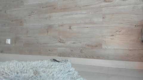Media: meryfoxxx Chaturbate 2023-12-02 10:55:00