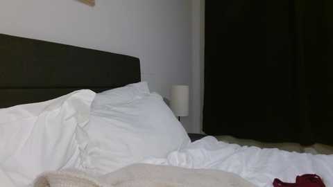 Media: miafosterx Chaturbate 2023-12-02 06:51:00