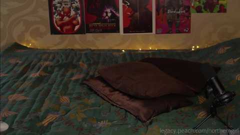 Media: _northern_girl_ Chaturbate 2023-12-03 16:50:00