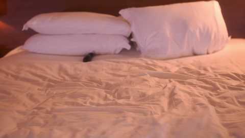 Media: eva_fashionista Chaturbate 2023-12-03 04:03:00