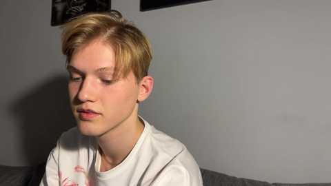 Media: skies_shine Chaturbate 2023-12-03 21:40:00