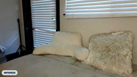 Media: _natycutei19 Chaturbate 2023-12-05 20:20:00