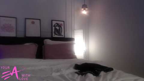 Media: bigorgasm4us Chaturbate 2023-12-05 17:12:00