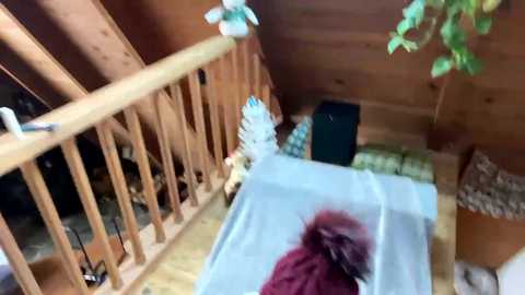Media: emersoncane Chaturbate 2023-12-05 16:53:00