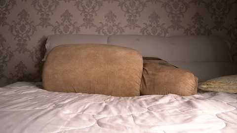Media: princessasiana Chaturbate 2023-12-05 08:33:00