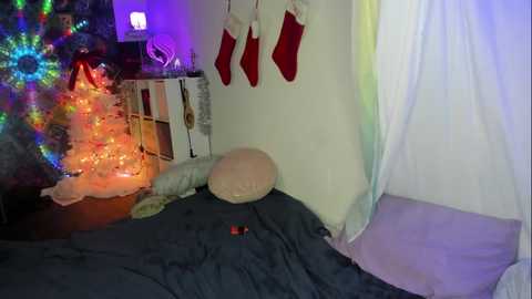 Media: akgingersnaps Chaturbate 2023-12-06 00:06:00