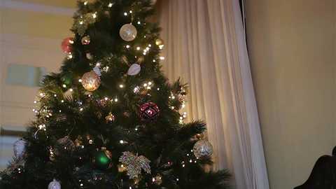 Media: katyerave Chaturbate 2023-12-06 11:59:00