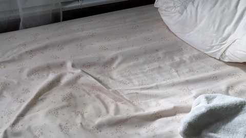 Media: littlegreekflower Chaturbate 2023-12-06 13:00:00