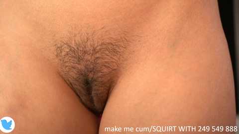 Media: dovia Chaturbate 2023-12-07 05:52:00