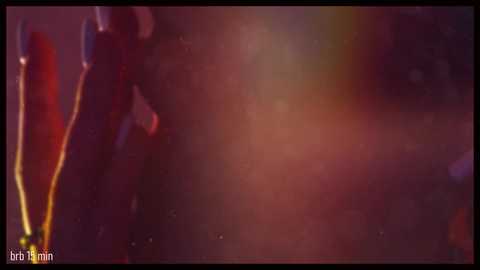 Media: taanni_bc Chaturbate 2023-12-07 03:56:00