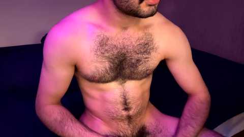 zayn_hawk @ chaturbate on 20231207