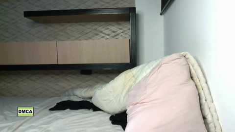Media: latinella Chaturbate 2023-12-08 04:55:00