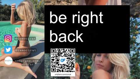 Media: ocicat Chaturbate 2023-12-08 22:40:00