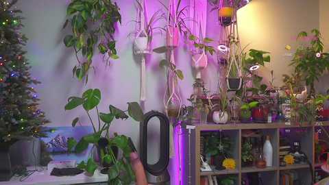 Media: sunniedayz Chaturbate 2023-12-08 05:41:00