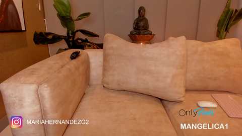 Media: cute_molly18 Chaturbate 2023-12-09 05:54:00