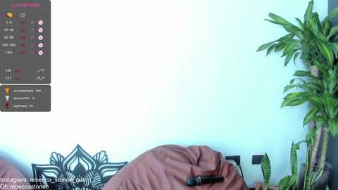 Media: rebeccastonee Chaturbate 2023-12-09 21:10:00
