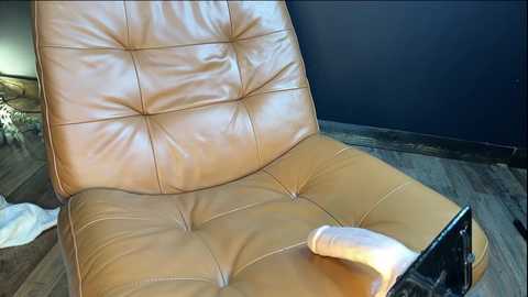 Media: sara_cane Chaturbate 2023-12-09 06:01:00