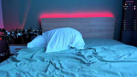 Media: girl_next_door19 Chaturbate 2023-12-10 06:48:00