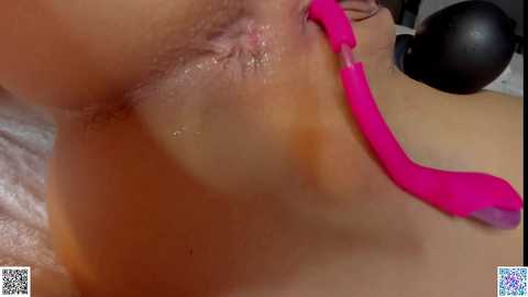 Media: star_gazing Chaturbate 2023-12-10 09:38:00