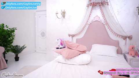 Media: caylin Chaturbate 2023-12-11 01:31:00