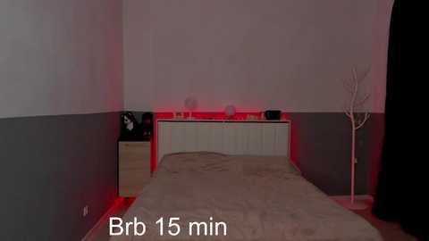 Media: kali_nostra Chaturbate 2023-12-12 19:34:00