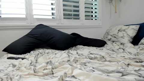 zarabelle_ @ chaturbate on 20231212