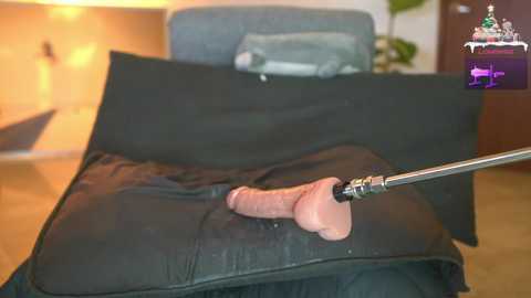 Media: ohmysweetkitty Chaturbate 2023-12-13 00:02:00