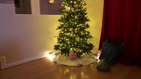 Media: phoenix_taylor Chaturbate 2023-12-13 02:22:00