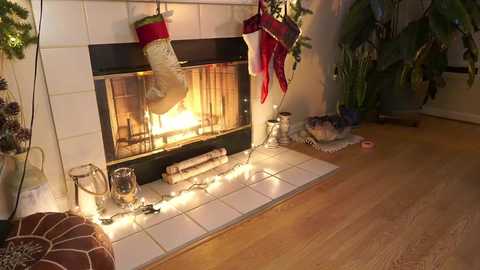 Media: phoenix_taylor Chaturbate 2023-12-13 04:35:00
