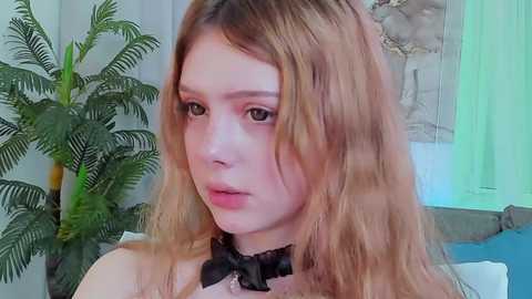 Media: little_anitta Chaturbate 2023-12-14 04:49:00