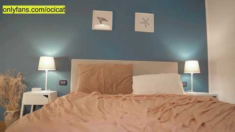 Media: ocicat Chaturbate 2023-12-14 01:53:00