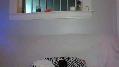 Media: petitegirluvsdick Chaturbate 2023-12-15 01:40:00