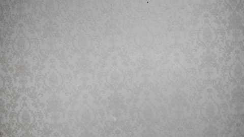 Media: laurenshannons Chaturbate 2023-12-16 21:16:00