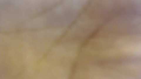Media: dongfatherproductions Chaturbate 2023-12-17 04:29:00